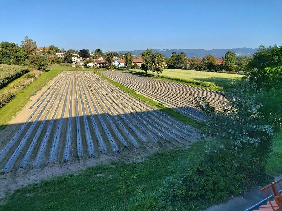 Gemuetlich*Stylisch*Netflix*Blick Ins Gruene* Apartment Lindau  Germany